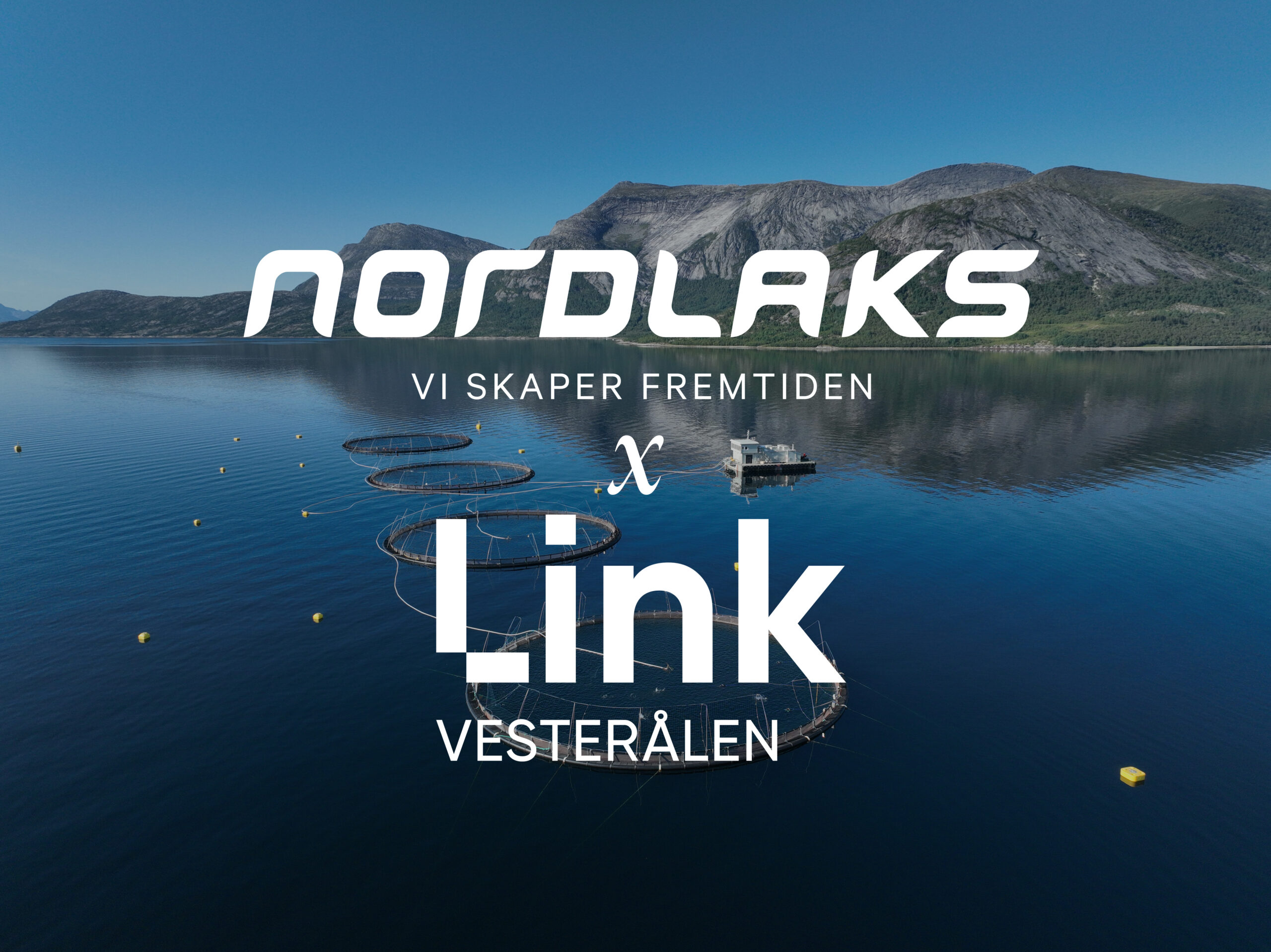 Nordlaks x Link Vesterålen